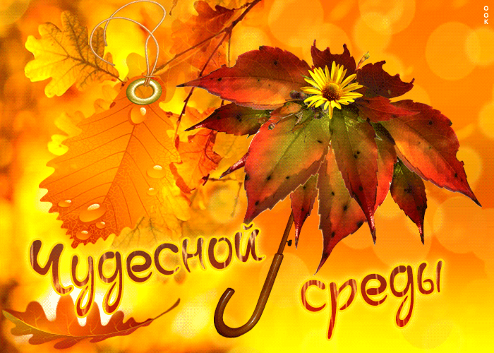 Postcard яркая осенняя открытка чудесной среды!