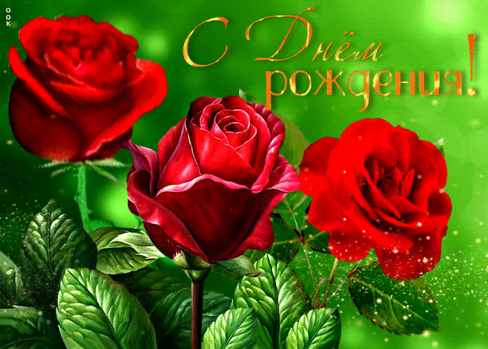 Picture яркая открытка с красными розами с днем рождения