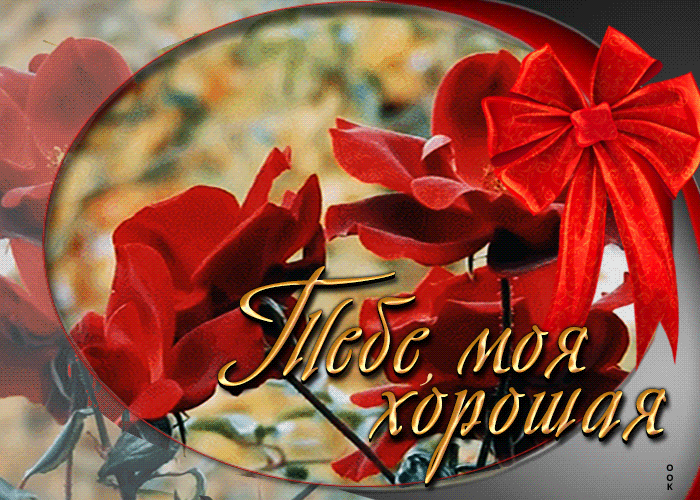 Picture яркая открытка с розочками тебе, моя хорошая