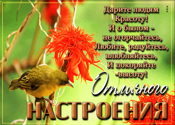 Picture яркая открытка со стихотворением отличного настроения