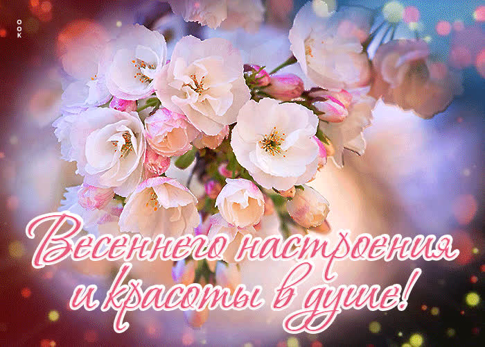 Picture яркая открытка весеннего настроения и красоты в душе