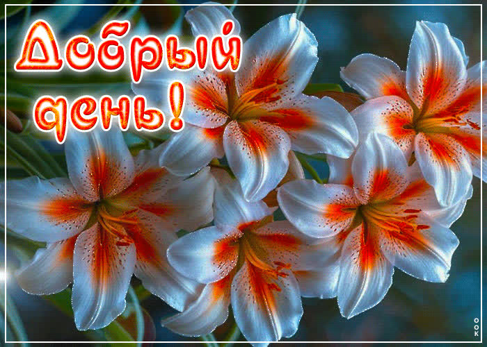 Picture яркая, сочная открытка добрый день