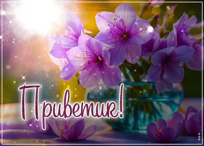 Postcard яркая весенняя гиф-открытка приветик