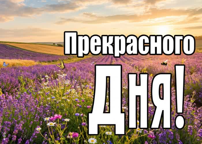 Postcard яркого летнего дня тебе
