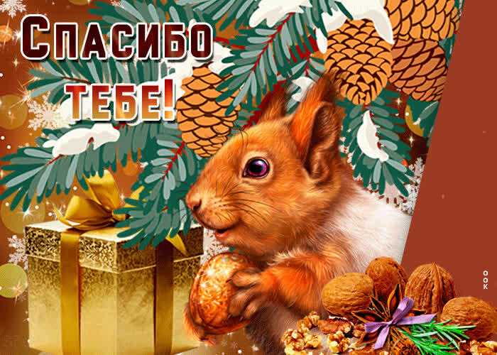 Картинка за всё на свете тебя благодарю