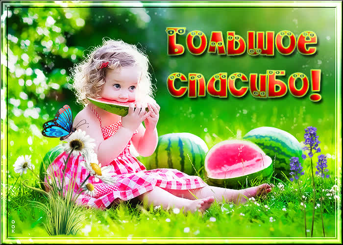 Картинка за всё тебя благодарю