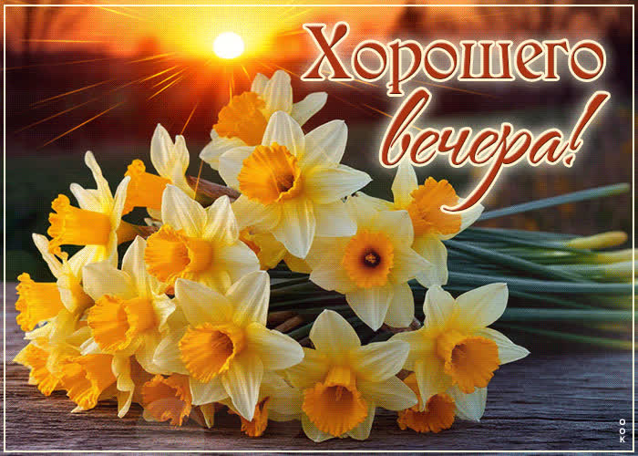 Postcard забавная и игривая весенняя гиф-открытка хорошего вечера