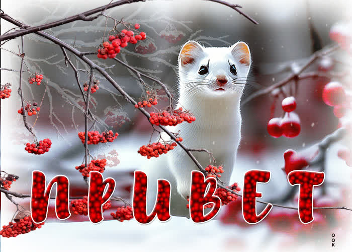 Postcard забавная и яркая анимационная открытка привет