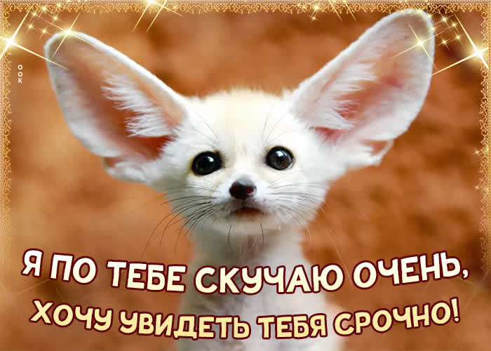Картинка забавная картинка скучаю