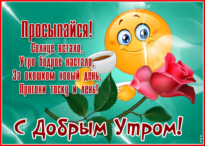 Postcard забавная открытка просыпайся! солнце встало
