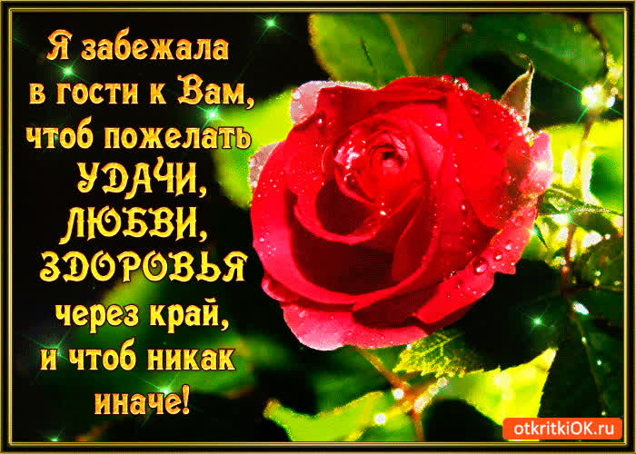 Картинка забежала чтоб пожелать удачи