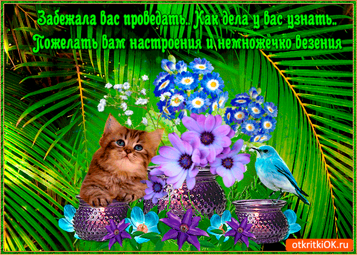 Открытка забежала пожелать вам удачи