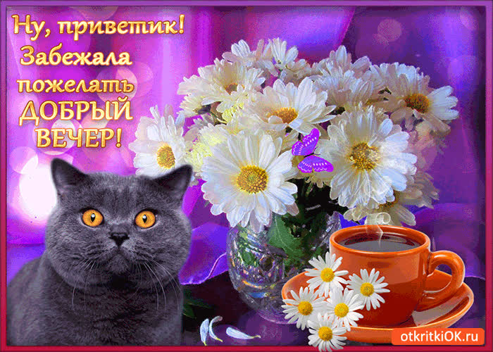 Картинка забежала пожелать добрый вечер!