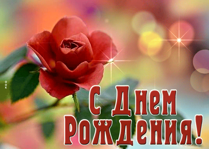 Postcard загадочная открытка с розой с днем рождения