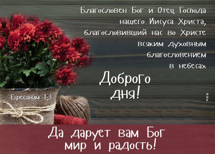 Picture замечательная открытка да дарует вам бог мир и радость!
