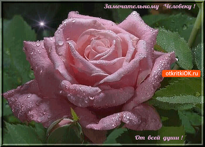 Картинка замечательному человеку от всей души