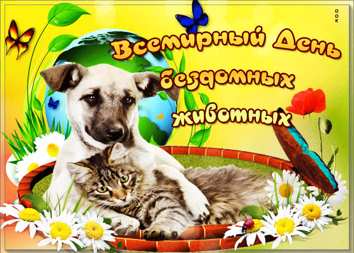 Картинка защитите братьев наших меньших