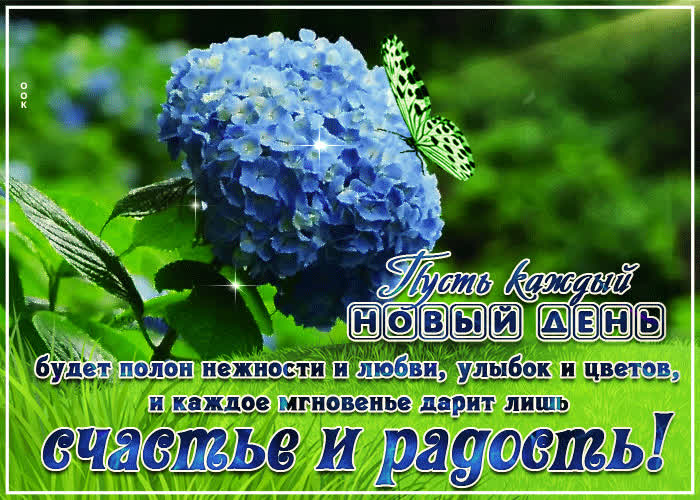 Картинка зашел пожелать хорошего настроения