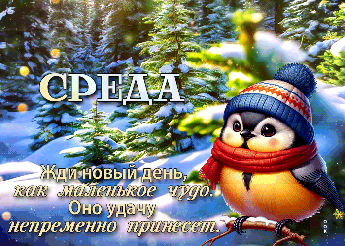 Postcard жди новый день, как маленькое чудо. оно удачу непременно принесет