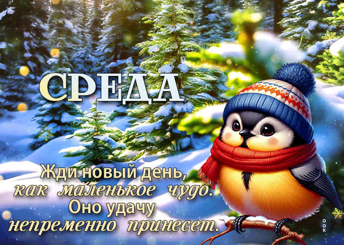 Postcard жди новый день, как маленькое чудо. оно удачу непременно принесет