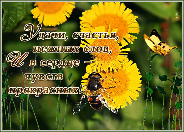 Картинка здоровья и добра