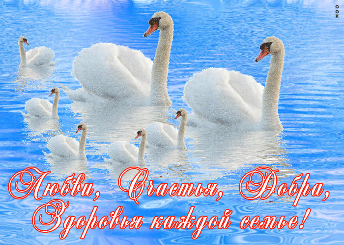 Картинка здоровья каждой семье