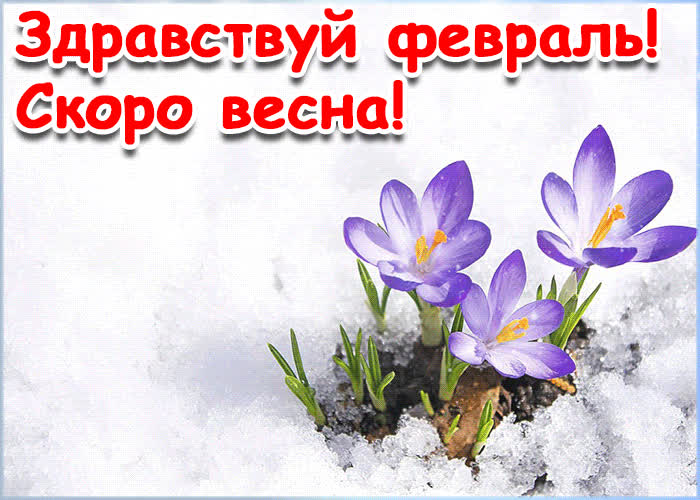 Картинка здравствуй февраль