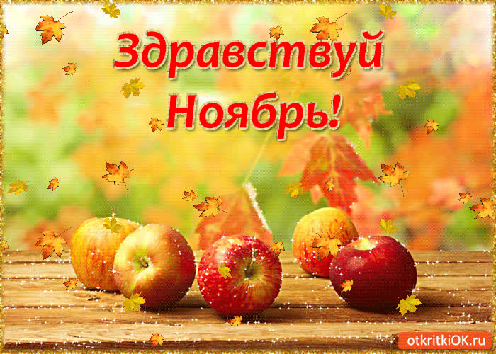 Картинка здравствуй ноябрь!