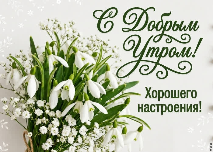 Postcard желаю чтобы у тебя было доброе утро каждый день!