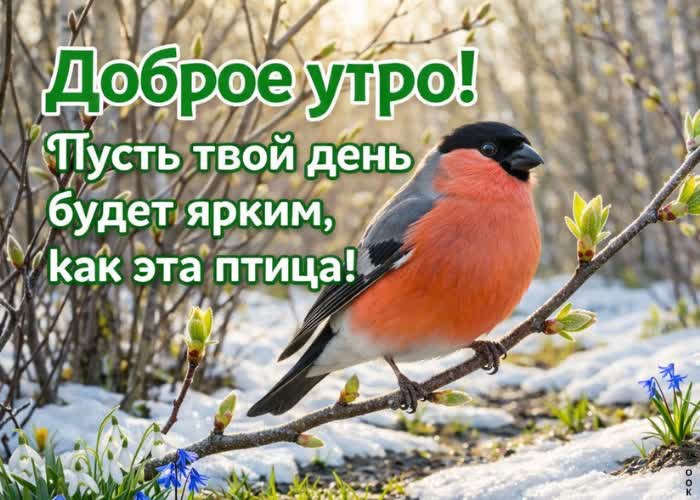 Picture желаю красивого весеннего утра, наполненного солнцем, улыбками и спокойствием.
