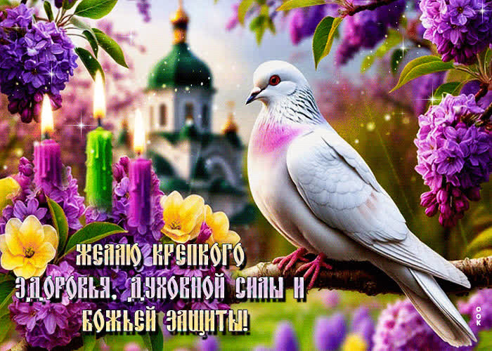 Picture желаю крепкого здоровья, духовной силы и божьей защиты