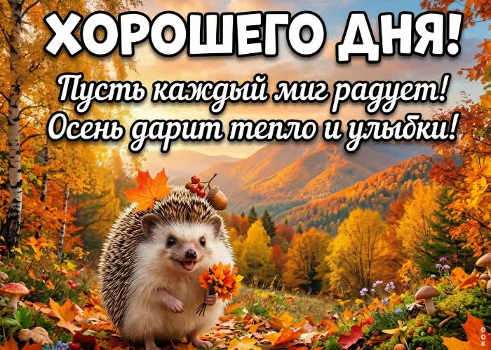 Picture желаю лёгкого и удачного дня этой осенью.