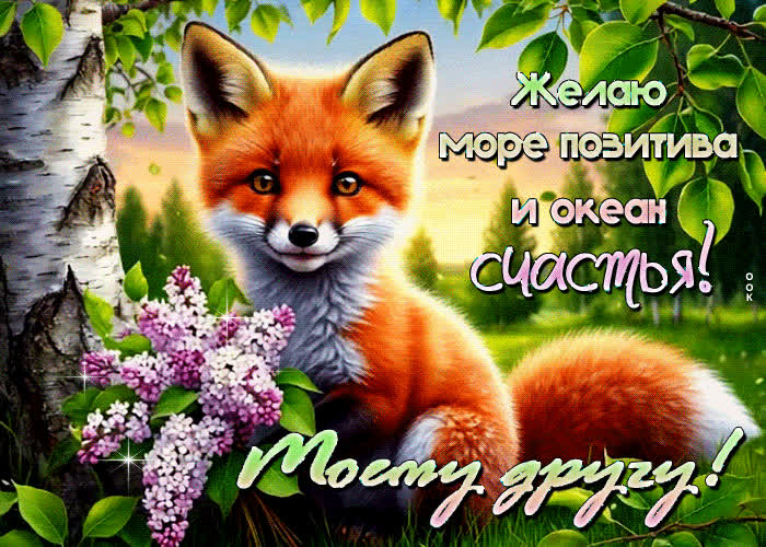 Postcard желаю море позитива и океан счастья