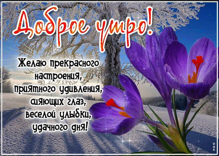 Picture желаю прекрасного настроения, приятного удивления, сияющих глаз