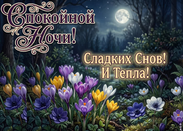Picture желаю самых теплых снов