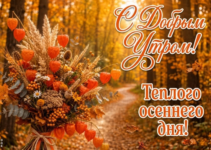 Postcard желаю теплого осеннего денечка