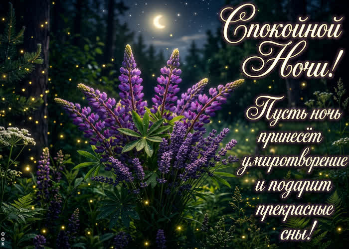 Picture желаю умиротворения и прекрасные сны