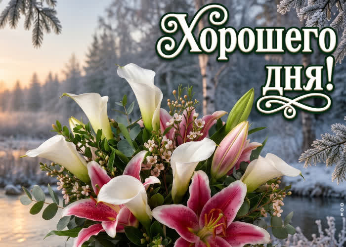 Postcard желаю всего наилучшего в этот прекрасный день!!