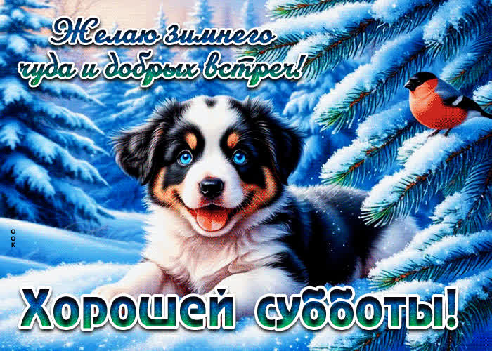 Postcard желаю зимнего чуда и добрых встреч