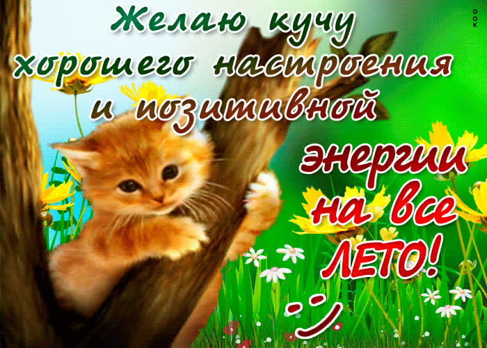 Картинка желаю энергии на всё лето