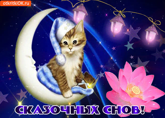 Картинка желаю тебе прекрасных снов, спокойной ночи