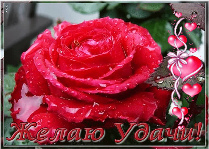 Картинка желаю удачи