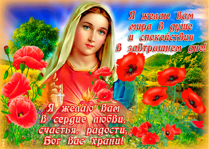 Картинка желаю вам мира в душе и спокойствия в завтрашнем дне