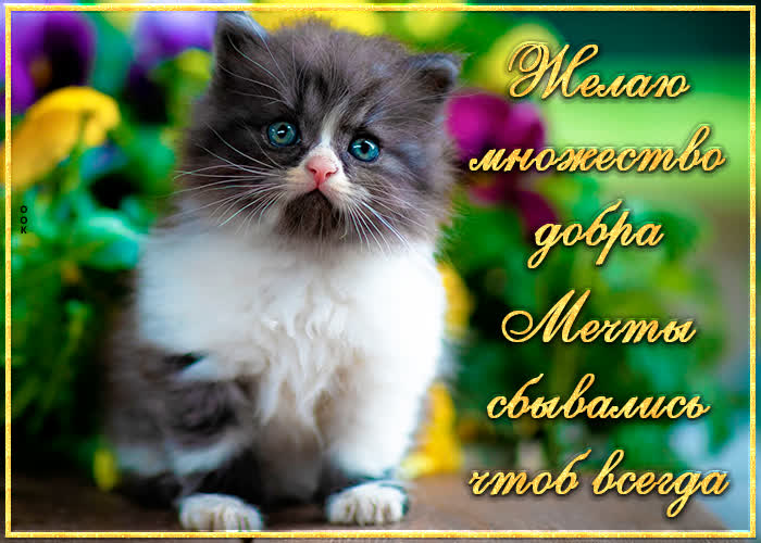 Картинка желаю вам много добра