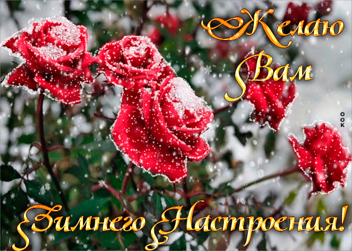 Картинка желаю вам зимнего настроения