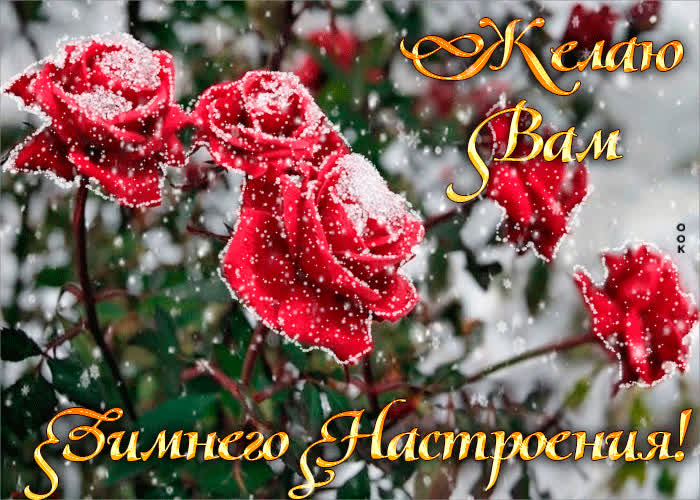 Картинка желаю вам зимнего настроения
