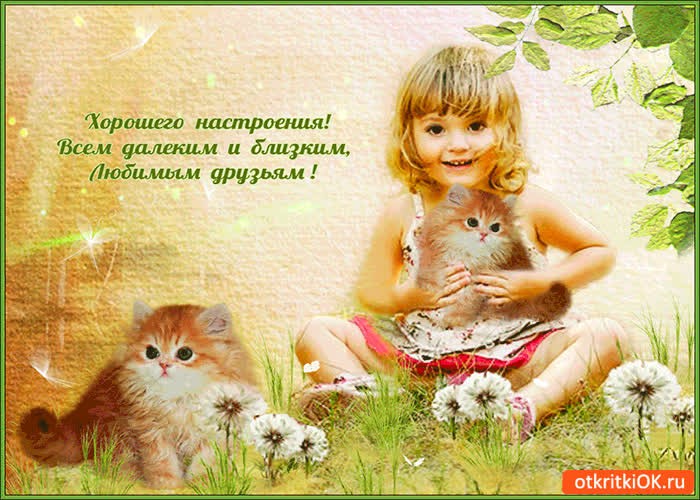 Картинка желаю хорошего настроения любимым друзьям