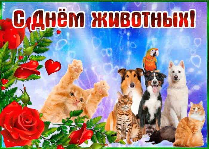 Картинка живая картинка на всемирный день животных