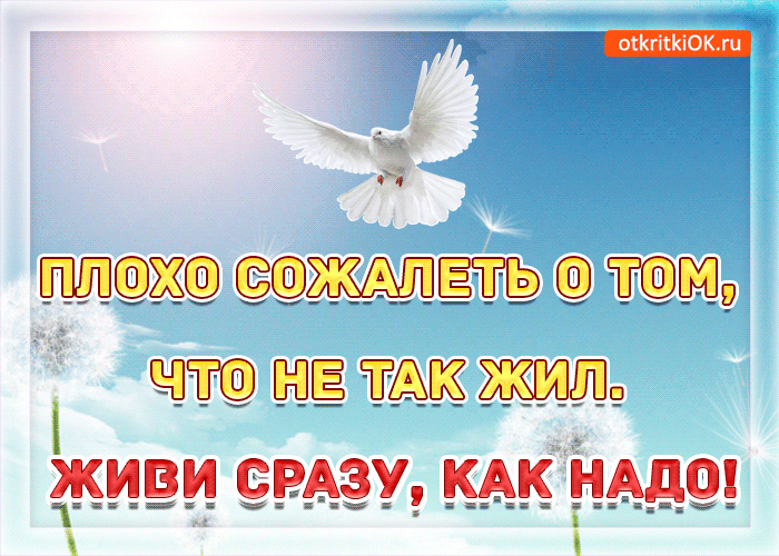 Открытка живи сразу как надо