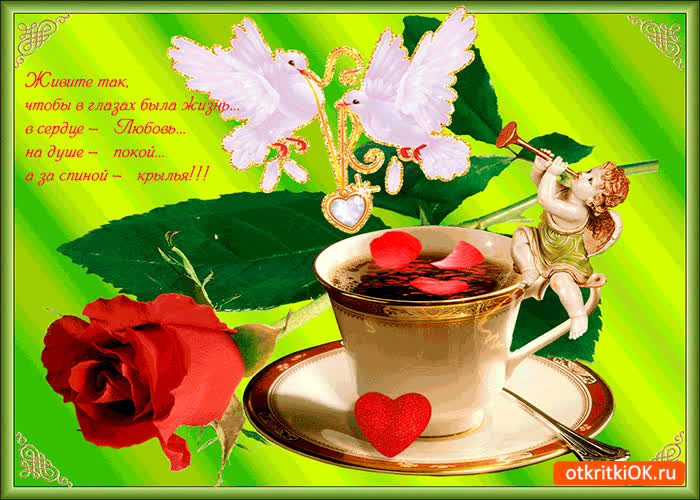 Картинка живите так, чтоб в глазах была жизнь